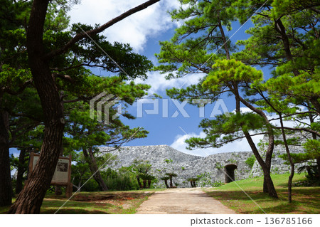 扎基米城堡遺址及其美麗的城堡城牆 扎基米城堡遺址及其美麗的城堡城牆 136785166