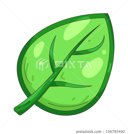 Illustration of leaf 136785492