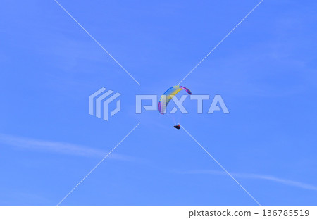Paragliders flying in the blue sky at Voss Resort 136785519
