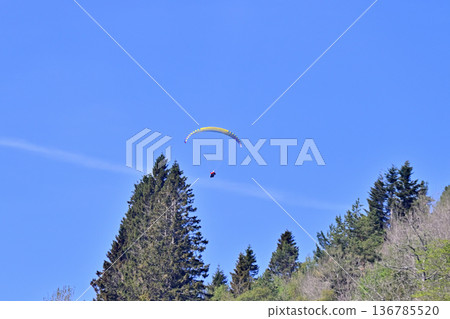 Paragliders flying in the blue sky at Voss Resort 136785520