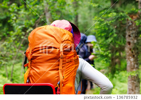 Exploring lush green trails with friends on a sunny hiking adventure Exploring lush green trails with friends on a sunny hiking adventure 136785932