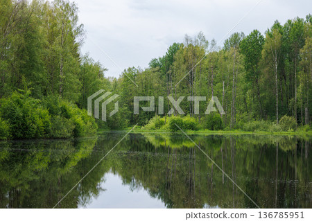 Tranquil forest reflection on a calm lake surrounded by lush greenery in early morning light Tranquil forest reflection on a calm lake surrounded by lush greenery in early morning light 136785951