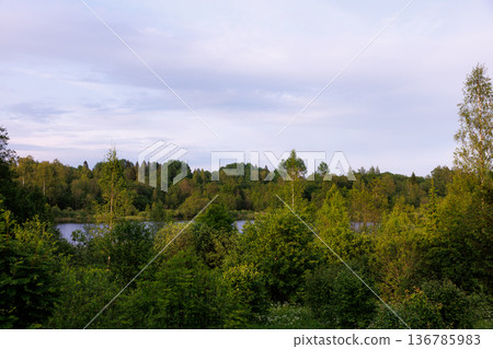 Peaceful twilight over lush green forest and serene lake in summer's embrace 136785983