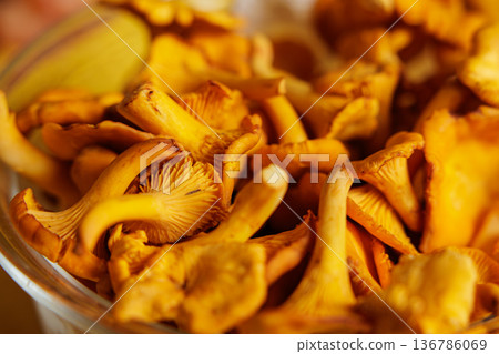 Golden chanterelle mushrooms piled fresh from the forest during a sunny autumn day in a cozy kitchen Golden chanterelle mushrooms piled fresh from the forest during a sunny autumn day in a cozy kitchen 136786069