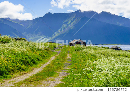 Landscape at Hovsund village Lofoten Norway Landscape at Hovsund village Lofoten Norway 136786752