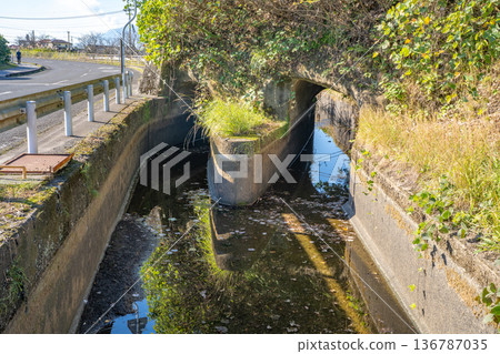 Scenery of Uchiyamada's nose (Kirishima City) Scenery of Uchiyamada's nose (Kirishima City) 136787035