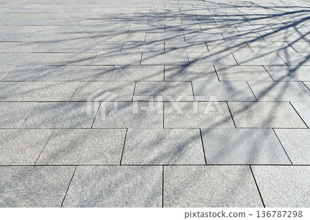 冬日樹影投射在地面上 136787298