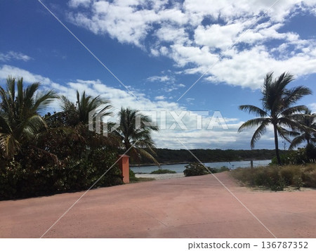 無盡的熱帶長廊和藍天下的棕櫚樹 無盡的熱帶長廊和藍天下的棕櫚樹 136787352