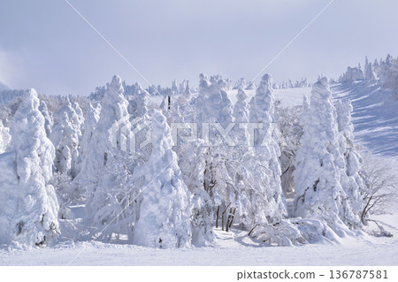 山形藏王的冬冰樹 136787581