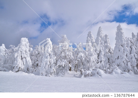 Winter Ice Trees Yamagata Zao 136787644