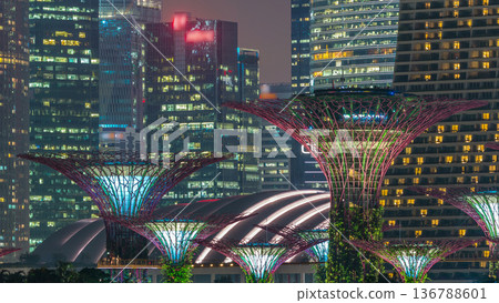 Skyscrapers behind Gardens by the bay with supertrees night timelapse 136788601
