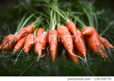 Carrots with leafy tops arranged symmetrically on grass 136788776