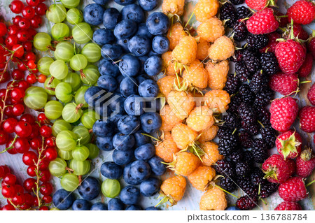 Colorful rows of fresh berries arranged as background pattern Colorful rows of fresh berries arranged as background pattern 136788784