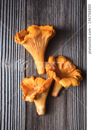 Fresh chanterelles resting on wooden table close up 136788800