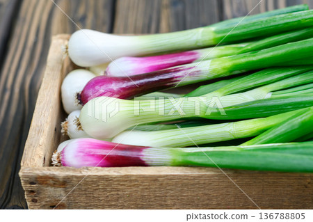Fresh green onions in wooden box Fresh green onions in wooden box 136788805