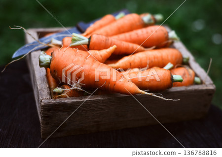 Fresh organic carrots arranged in rustic wooden crate Fresh organic carrots arranged in rustic wooden crate 136788816