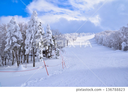 Winter, Rime Trees, Yamagata, Zao Onsen Ski Resort 136788823