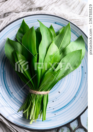 Fresh wild garlic leaves arranged on a blue plate Fresh wild garlic leaves arranged on a blue plate 136788829