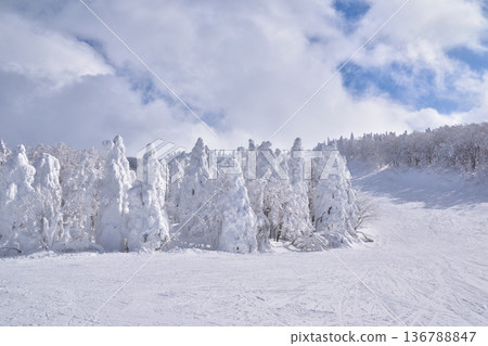 Winter, Rime Trees, Yamagata, Zao Onsen Ski Resort Winter, Rime Trees, Yamagata, Zao Onsen Ski Resort 136788847
