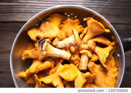 Raw chanterelles in a metal colander ready for cleaning 136788860