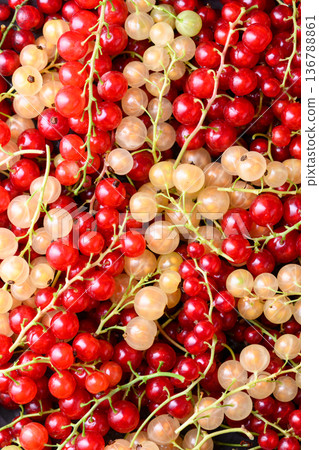 Red and white currants close up background Red and white currants close up background 136788861