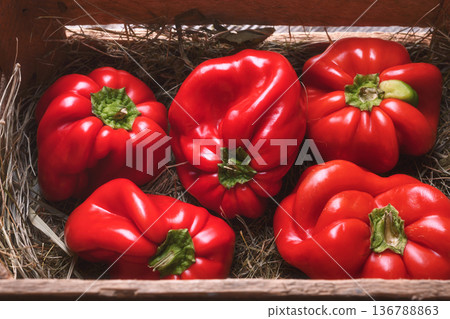 Red bell peppers arranged in wooden crate with hay Red bell peppers arranged in wooden crate with hay 136788863
