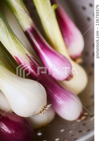 Spring onions in metal colander 136788876
