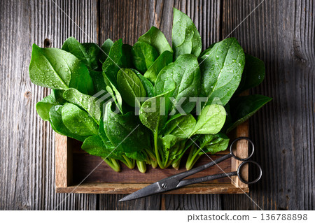 Washed baby spinach foliage resting in rustic wooden box Washed baby spinach foliage resting in rustic wooden box 136788898