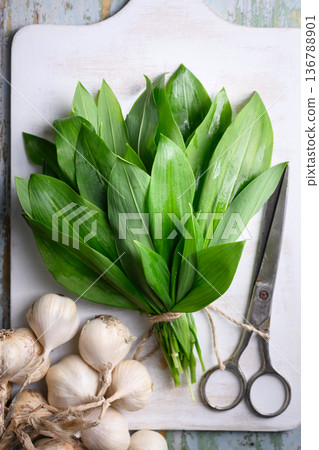 Wild garlic bundle arranged on white wooden cutting board Wild garlic bundle arranged on white wooden cutting board 136788901