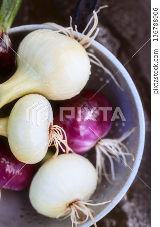 Young spring onions in metal bowl on rustic wooden surface Young spring onions in metal bowl on rustic wooden surface 136788906