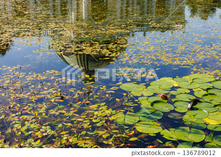 Reflection of a dome in a serene pond surrounded by lily pads and autumn leaves Reflection of a dome in a serene pond surrounded by lily pads and autumn leaves 136789012