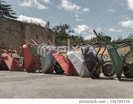 Under a clear sky, a vibrant row of wheelbarrows rests in quiet repose, capturing a serene moment on the farm. 136789148