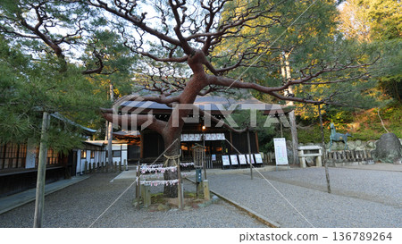 Owarifuji Omiya Asama Shrine Owarifuji Omiya Asama Shrine 136789264