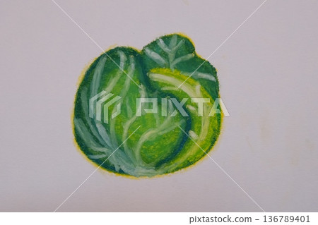用油畫棒畫的美味高麗菜 136789401
