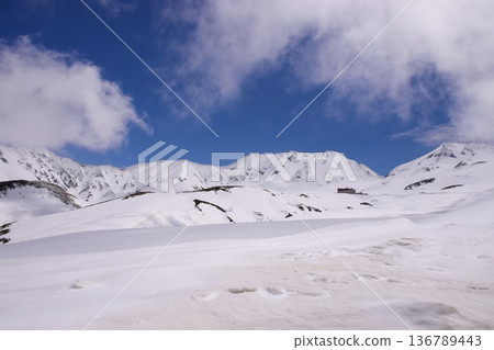 立山阿爾卑斯雪景 立山阿爾卑斯雪景 136789443