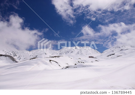 立山阿爾卑斯雪景 136789445