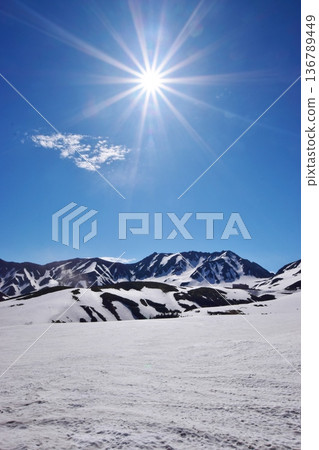 立山阿爾卑斯雪景 立山阿爾卑斯雪景 136789449