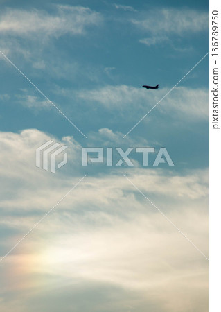 A passenger plane flying against the backdrop of a clear blue sky and soft light A passenger plane flying against the backdrop of a clear blue sky and soft light 136789750