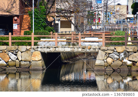 今治城護城河水道與大海相連 136789803