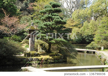 金澤大山神社的花園 金澤大山神社的花園 136790036