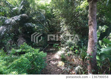 Okinawa castle scenery 136790058