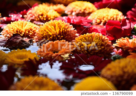 Flowers floating on water Flowers floating on water 136790099