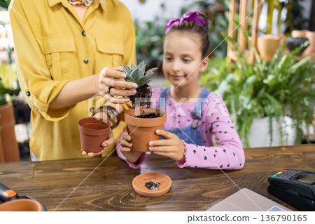 A young girl helps her mother repot a succulent plant, learning about gardening and nature 136790165
