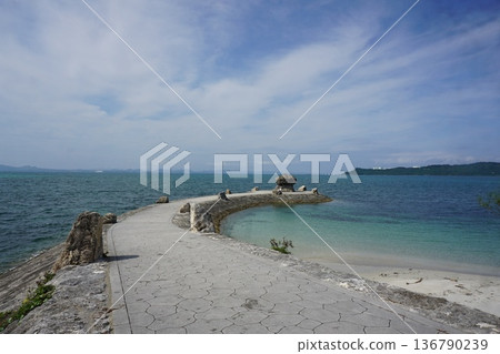 In the Okinawa landscape In the Okinawa landscape 136790239
