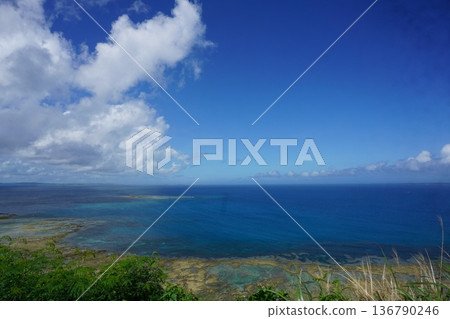 In the Okinawa landscape 136790246