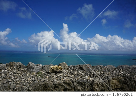 In the Okinawa landscape 136790261