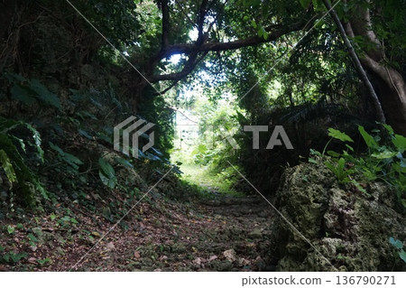 在沖繩的風景 在沖繩的風景 136790271