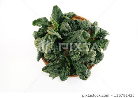 Fresh curly spinach Fresh curly spinach 136791425