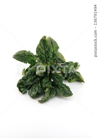 Fresh curly spinach Fresh curly spinach 136791494