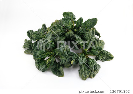 新鮮捲葉菠菜 136791502